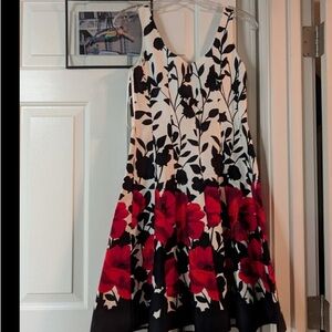 Cream and Black Fit and Flare Midi Dress with Scoop Neck